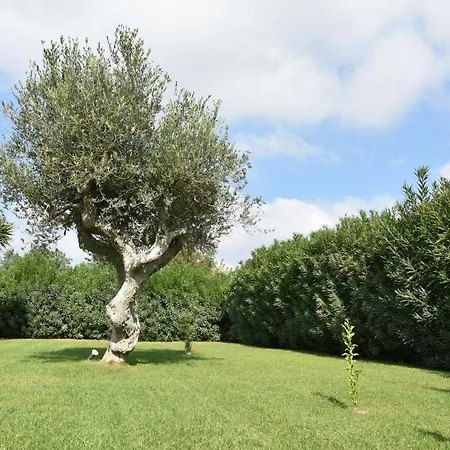 Peroscia Villa *